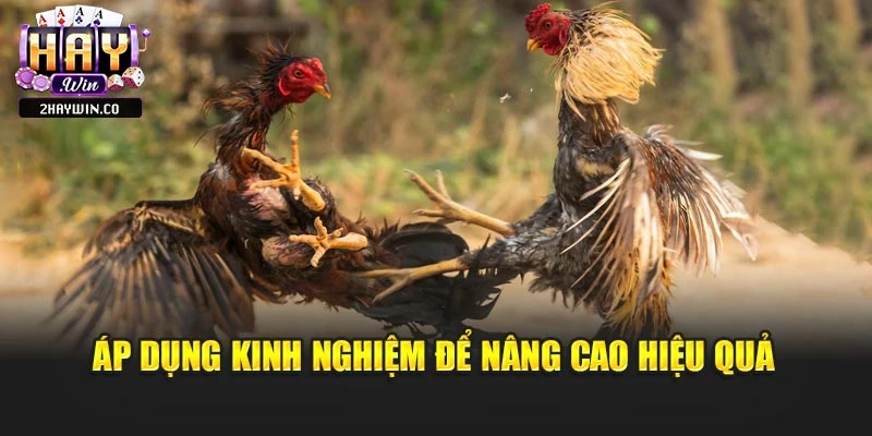 Áp dụng kinh nghiệm để nâng cao hiệu quả