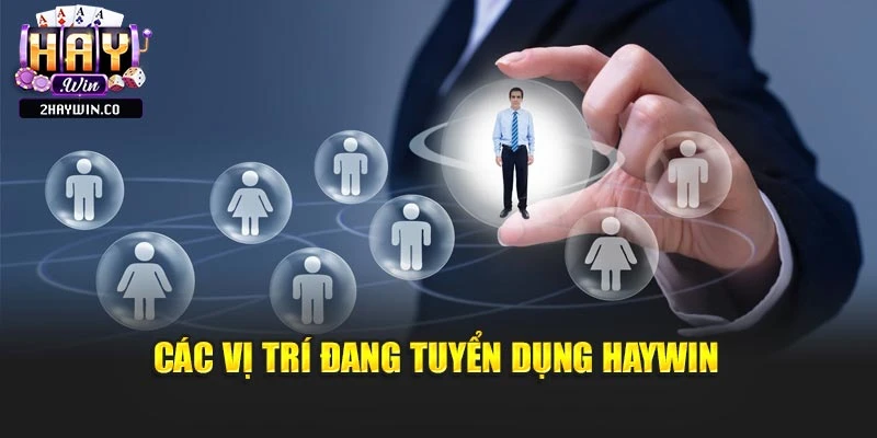 Các vị trí đang tuyển dụng Haywin