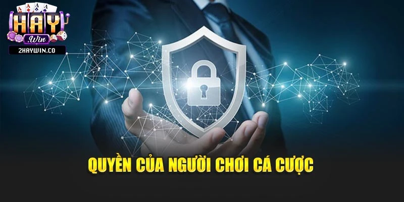 Quyền của người chơi cá cược