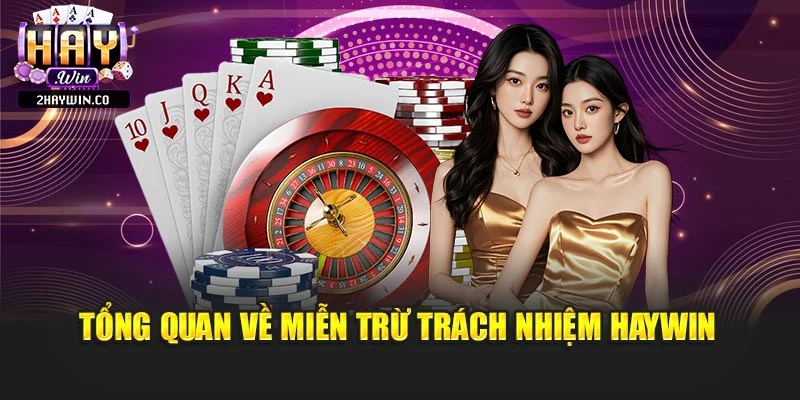 Tổng quan về miễn trừ trách nhiệm Haywin