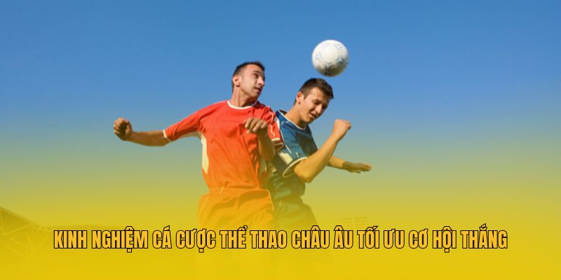 Kinh nghiệm cá cược thể thao châu Âu tối ưu cơ hội thắng